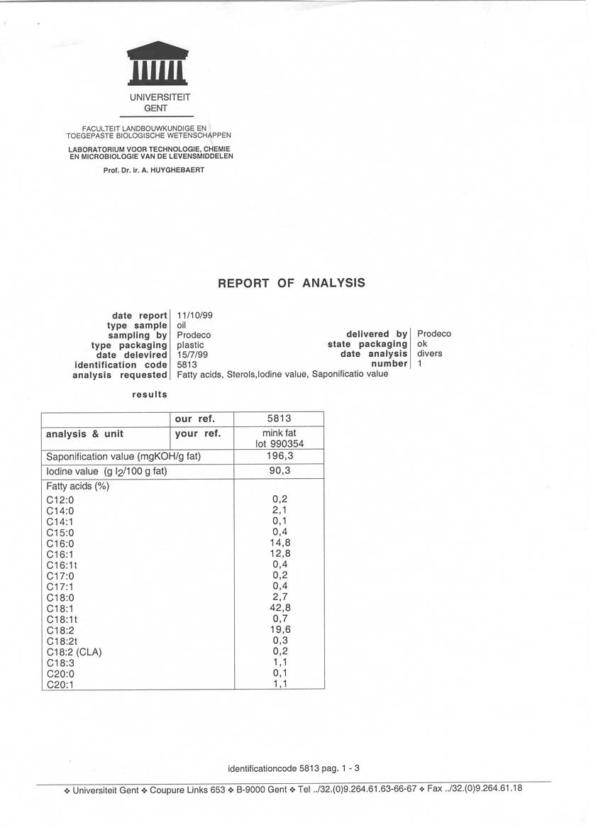 report1